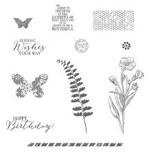 Butterfly Basic & Thinlits