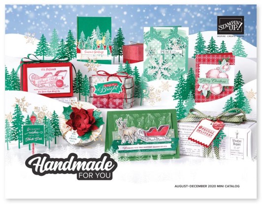 116573220_10158832225574744_1643491357729642406_n